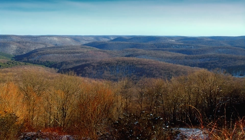 Cherry Springs Interpretive Trail