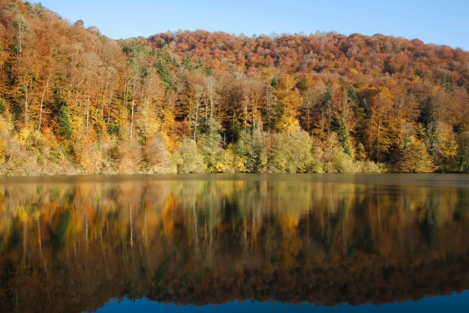 An image depicting the trail Parcours de Lucelle and its surrounding area.