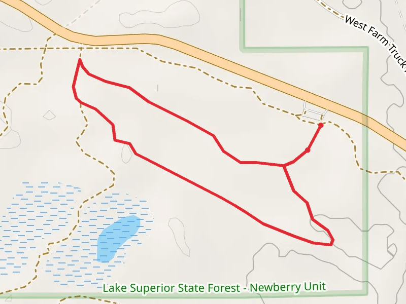 W M 123 Loop Walk