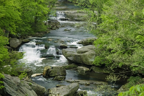 Berea Falls via Bridle Trail