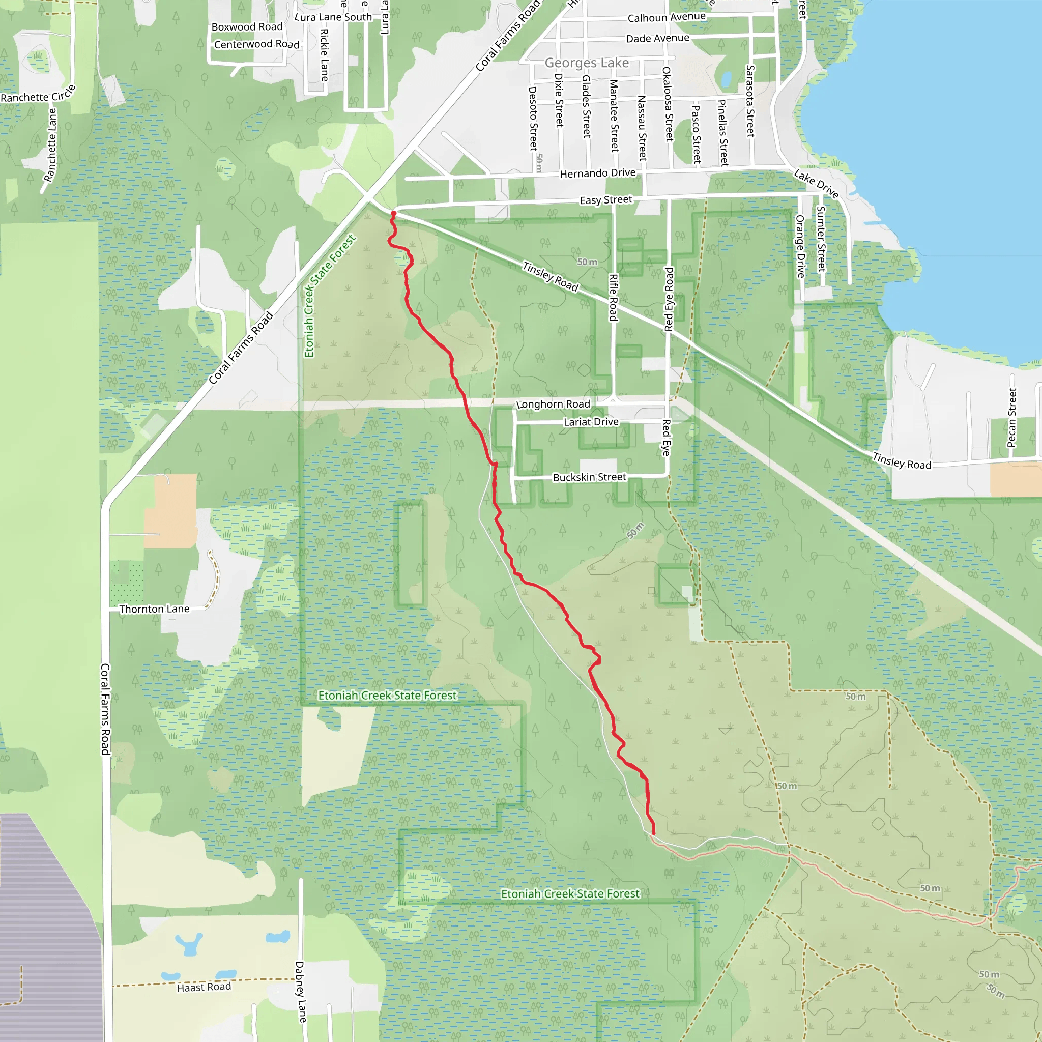 Florida Trail - Tinsley Road mobile static map