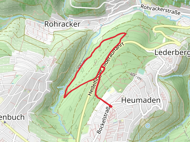 Lederberg Loop