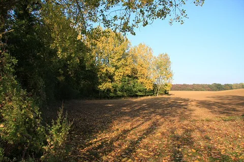 Kersey Loop