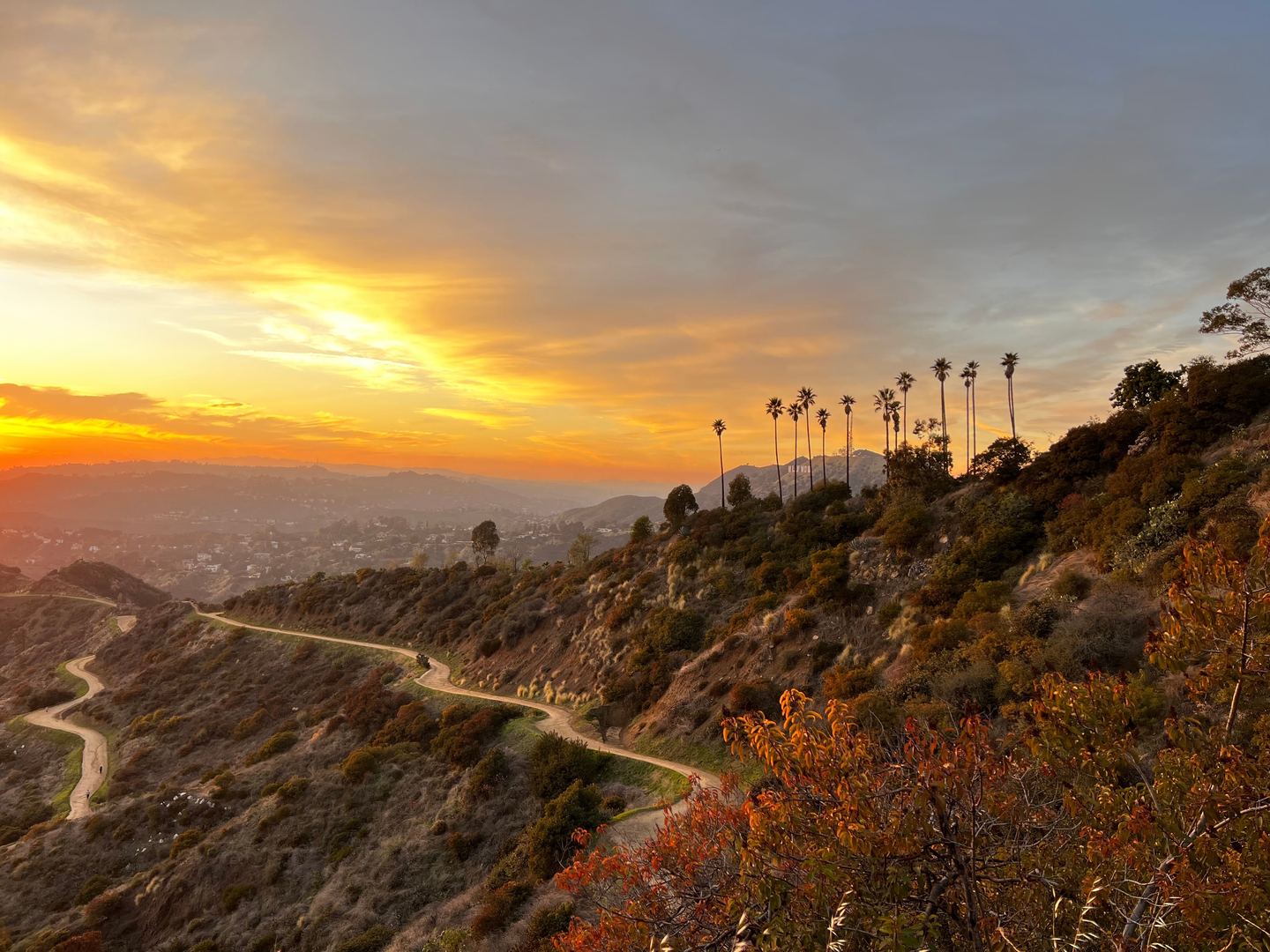 An image depicting the trail Brush Canyon, Mount Baby Bell and East Observatory Trail and its surrounding area.