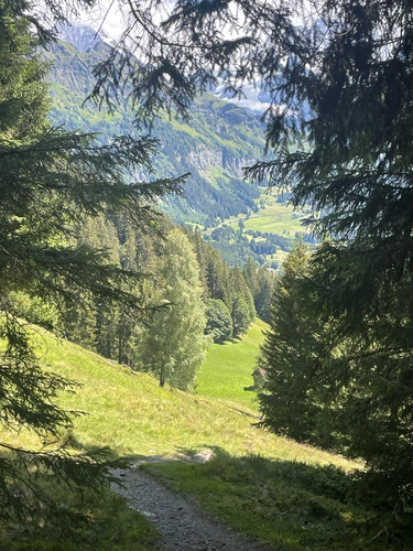 Staubbachbänkli and Leiterhorn Loop