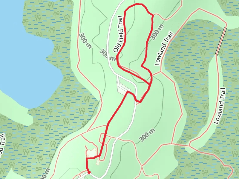 Old Field Trail