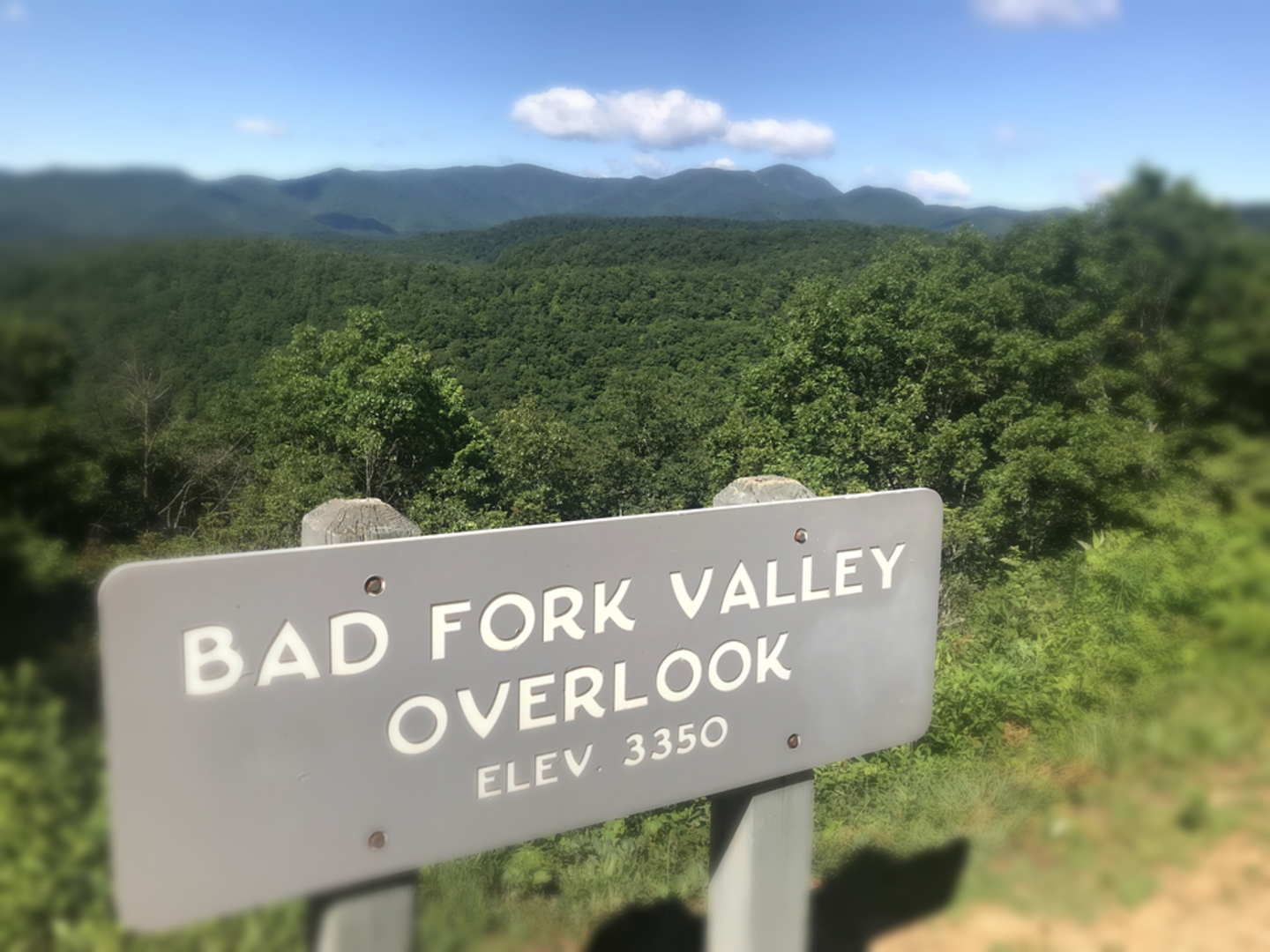 An image depicting the trail Bad Fork Trail and its surrounding area.