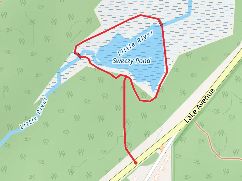 Sweezy Pond Loop