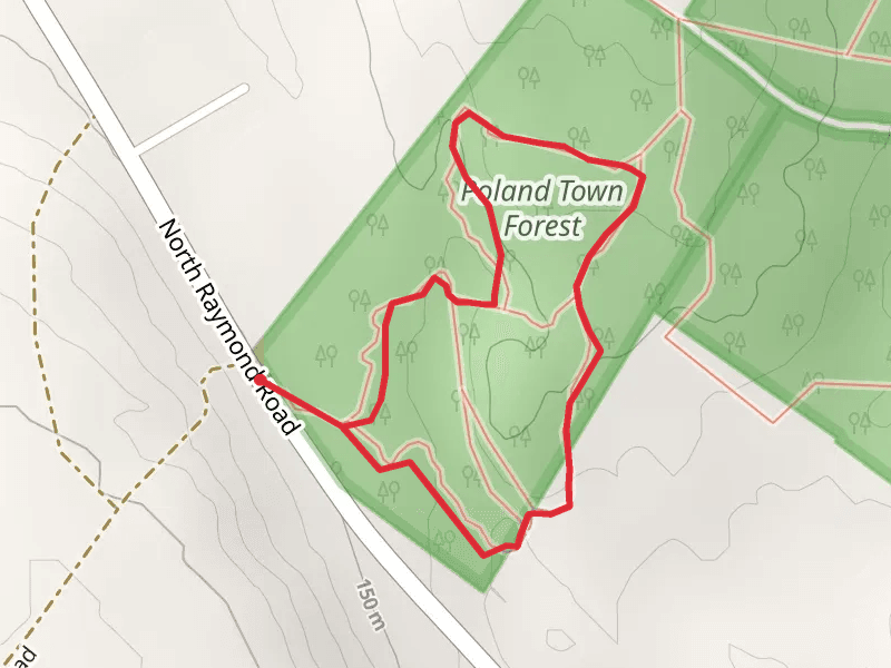 Bragdon Hill Forest Trails Loop