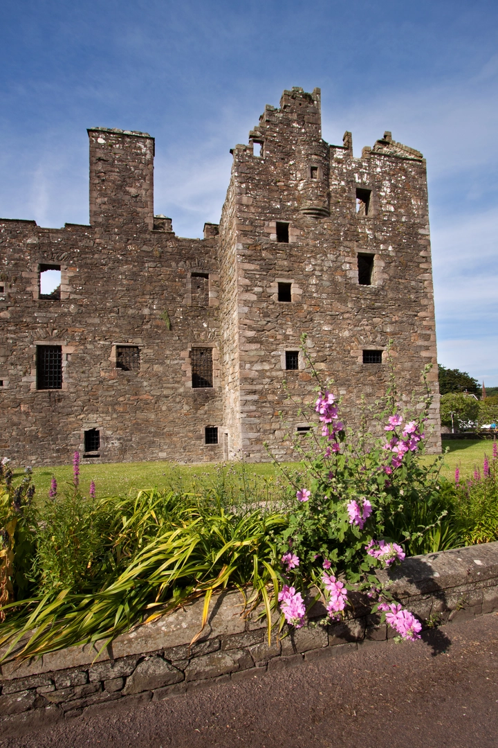 An image depicting the trail Maclellan's Castle and St Marys Isle Loop and its surrounding area.