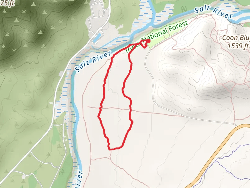 Lower Salt River Interpretive Loop Trail