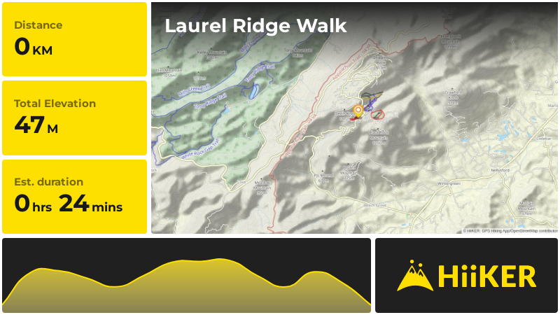 Laurel Ridge Walk | Nelson County | Virginia