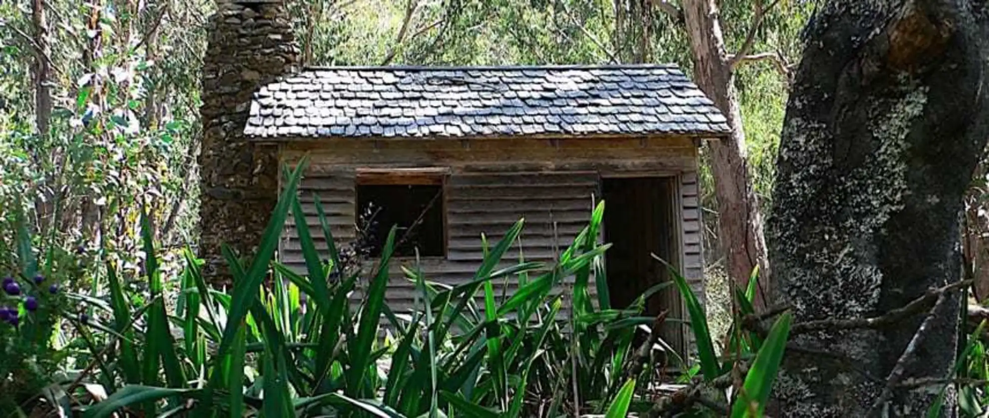 An image depicting the trail Lake Mountain and Keppel Hut Trail and its surrounding area.