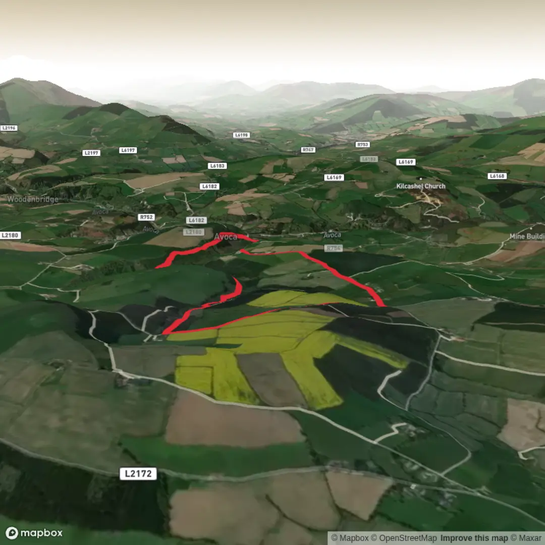 An image depicting the trail Avoca forest walk and its surrounding area.