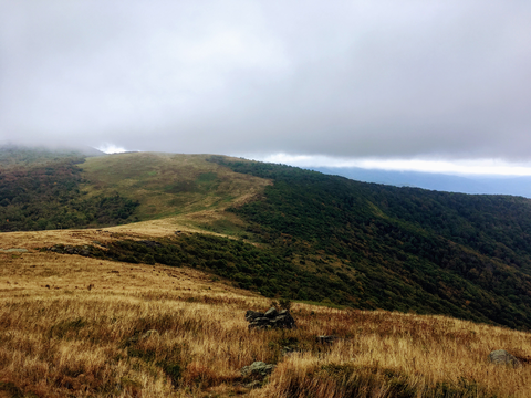 Yellow Mountain, Little Hump Mountain and Hump Mountain via Appalachian Trail