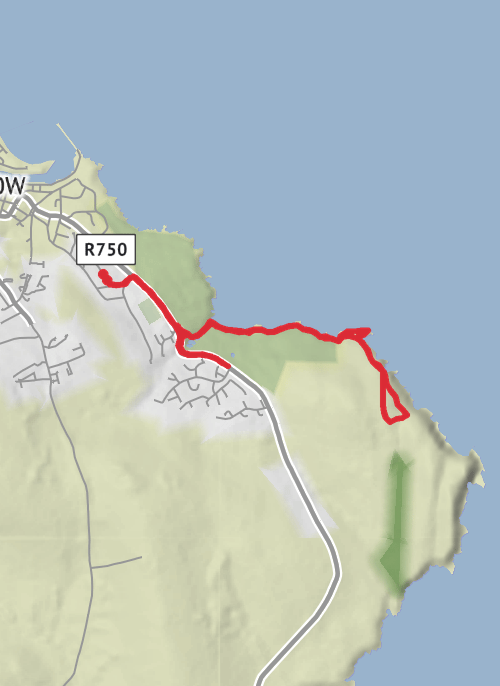 County Wicklow Running mobile static map