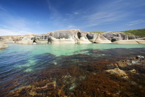 William Bay Trail