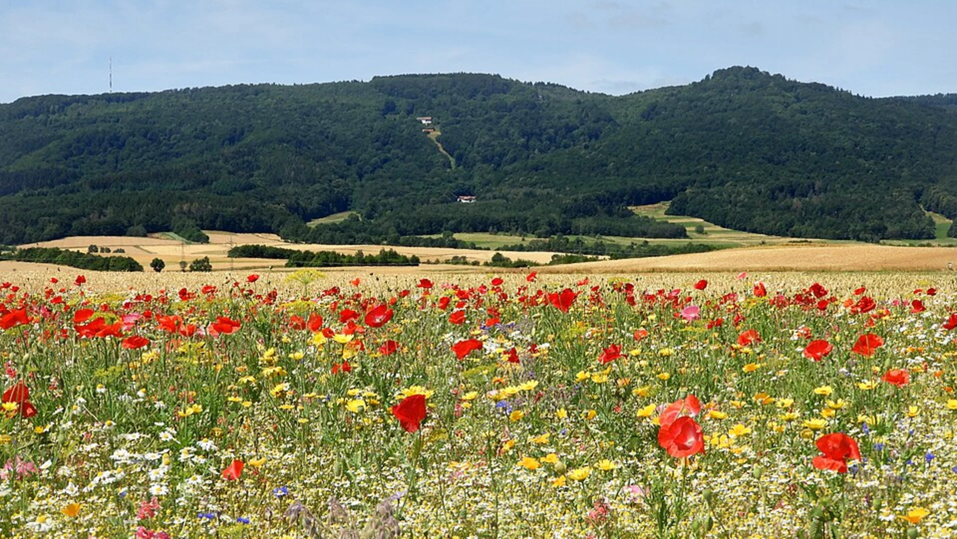 An image depicting the trail Struth via Premiumweg P20 Ulfener Karst and its surrounding area.