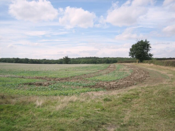 Deerfold Wood Loop from Drakes Broughton