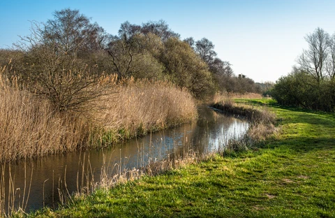 Burwell Fen and Wicken Fen and Reach Lode Loop