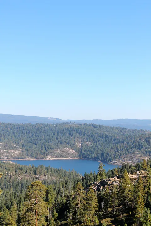 Sugar Pine Creek Walk