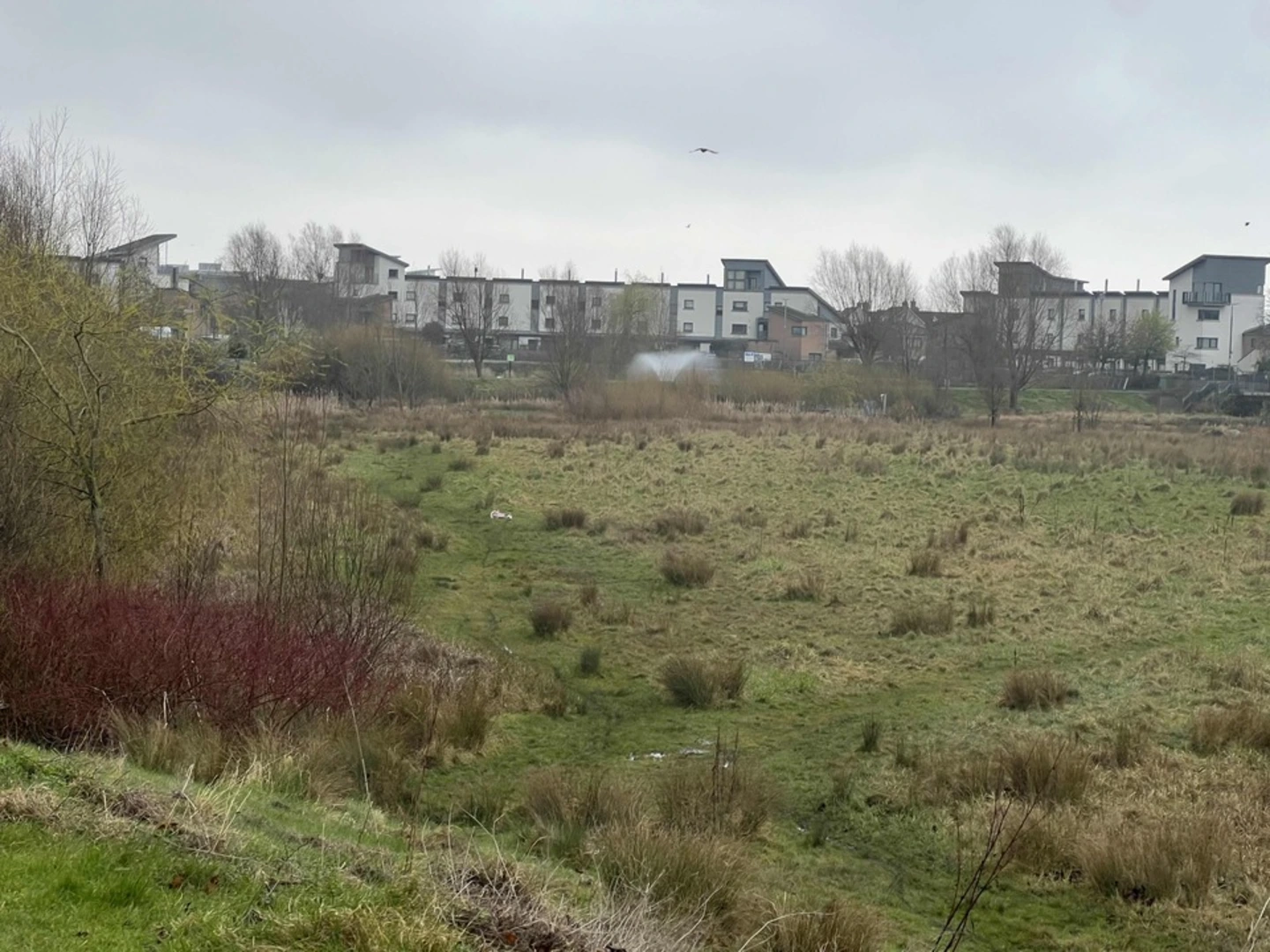 An image depicting the trail Poppintree Park Loop and its surrounding area.