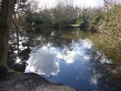 Knighton Wood Loop