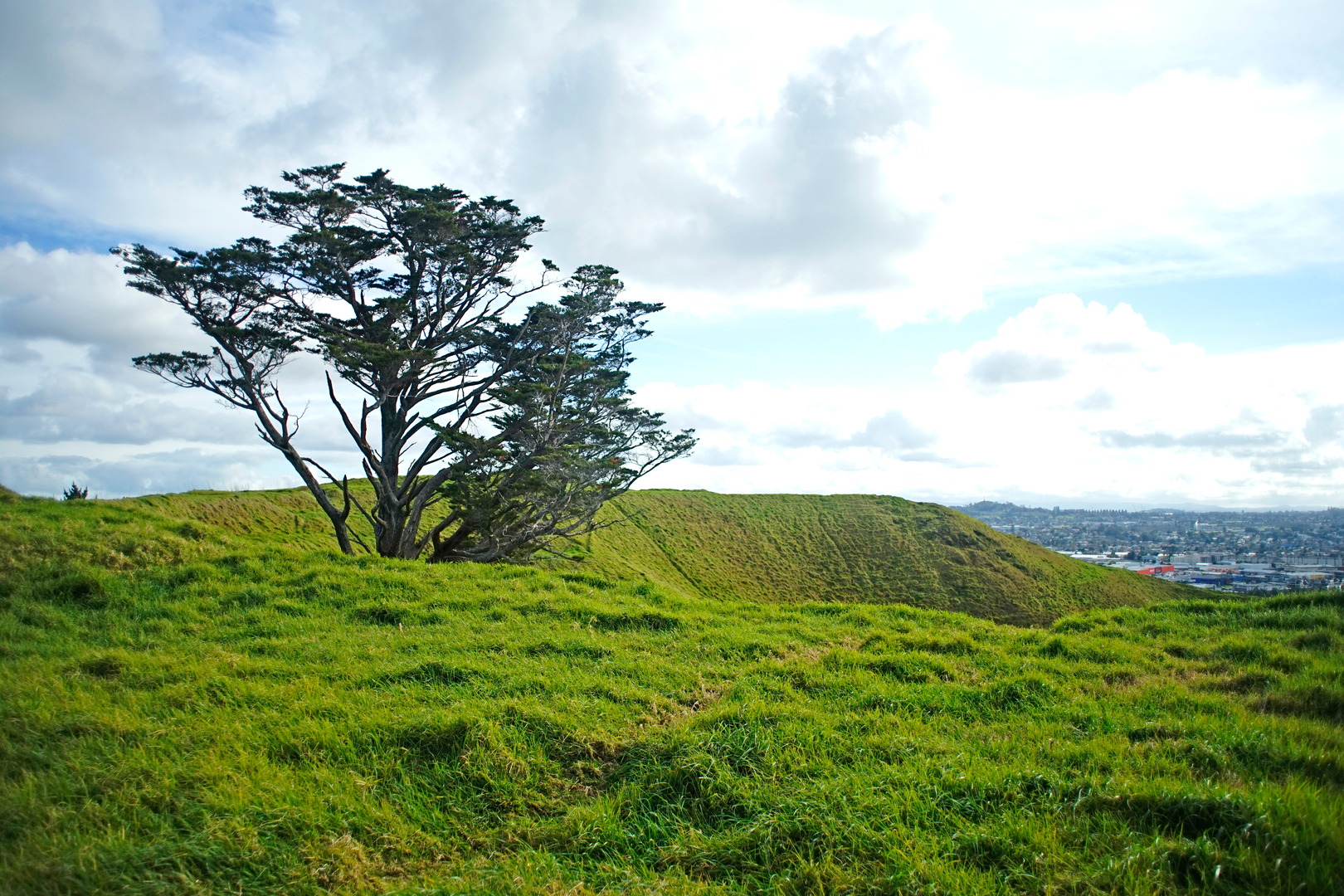 An image depicting the trail Maungarei - Mount Wellington and its surrounding area.