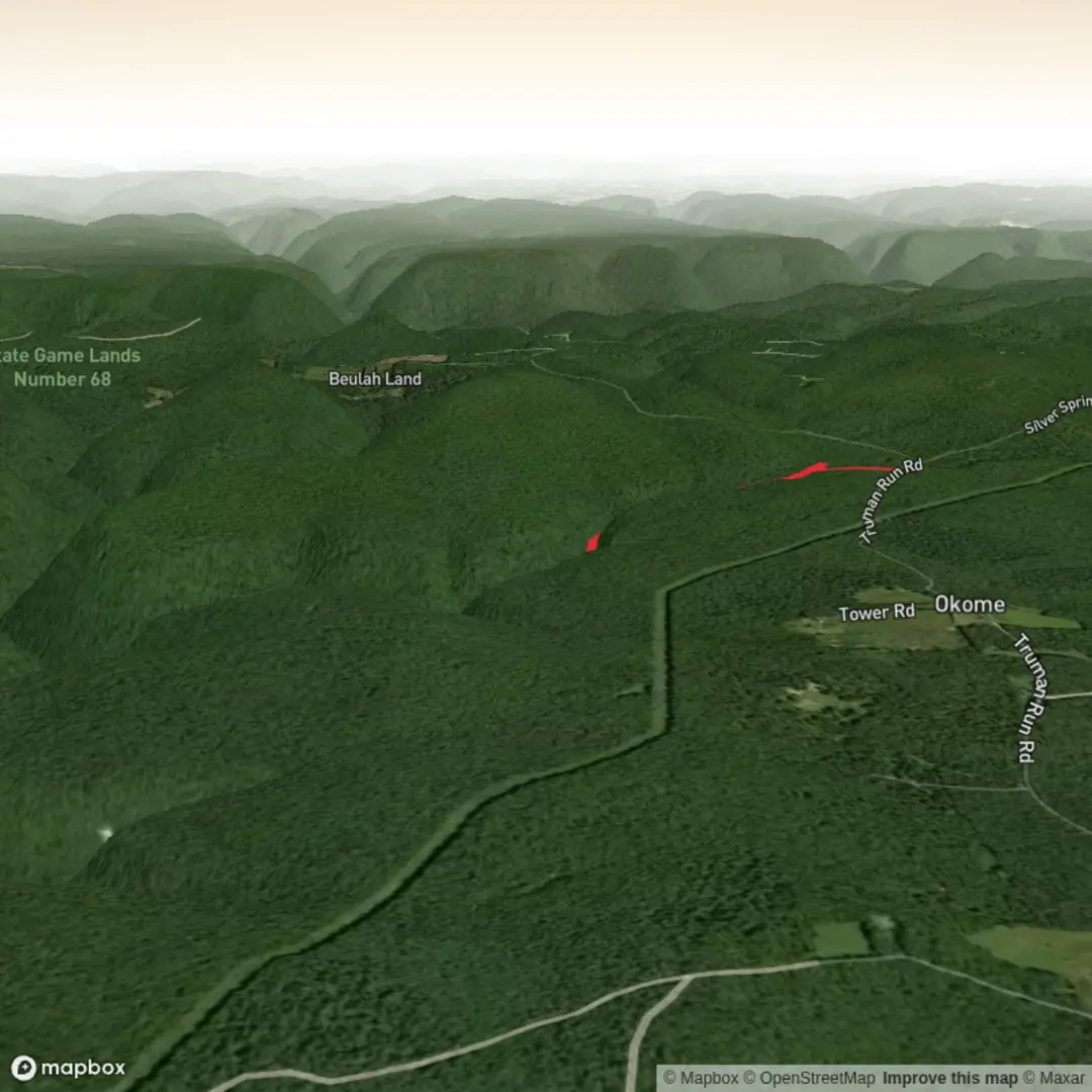 An image depicting the trail Sebring Run and its surrounding area.