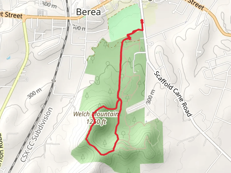 Welch Mountain in Berea College Forest LoopLoop
