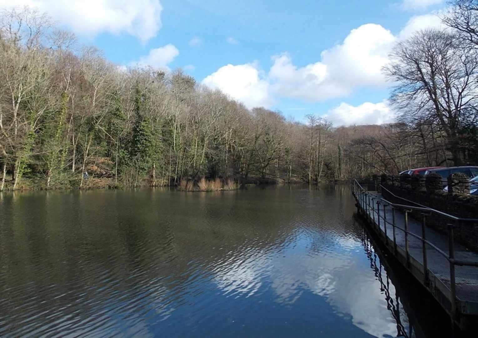 An image depicting the trail Gnoll Estate Country Park and its surrounding area.