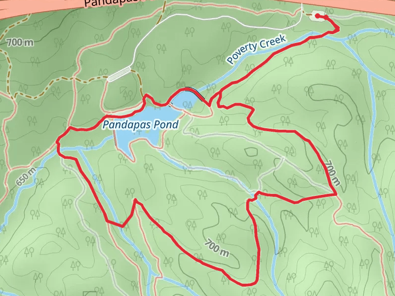 Horse Nettle, Joe Pye and Pandapas Pond Loop