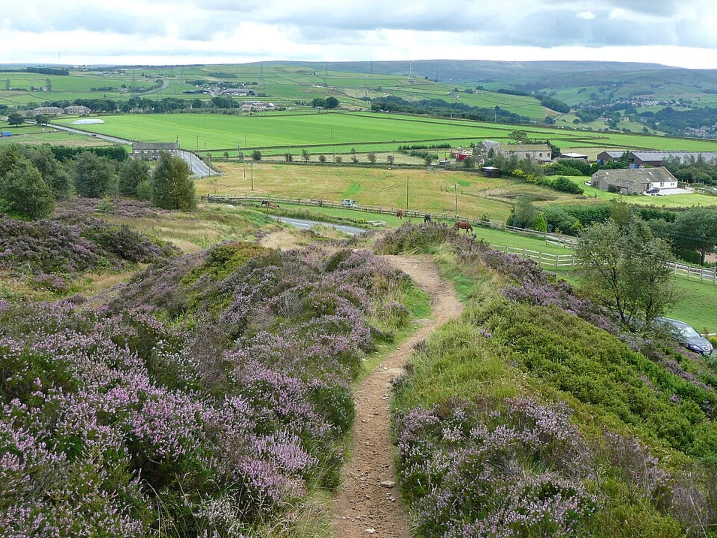 Norland Moor LNR and Calder and Hebble Navigation Walk | Calderdale
