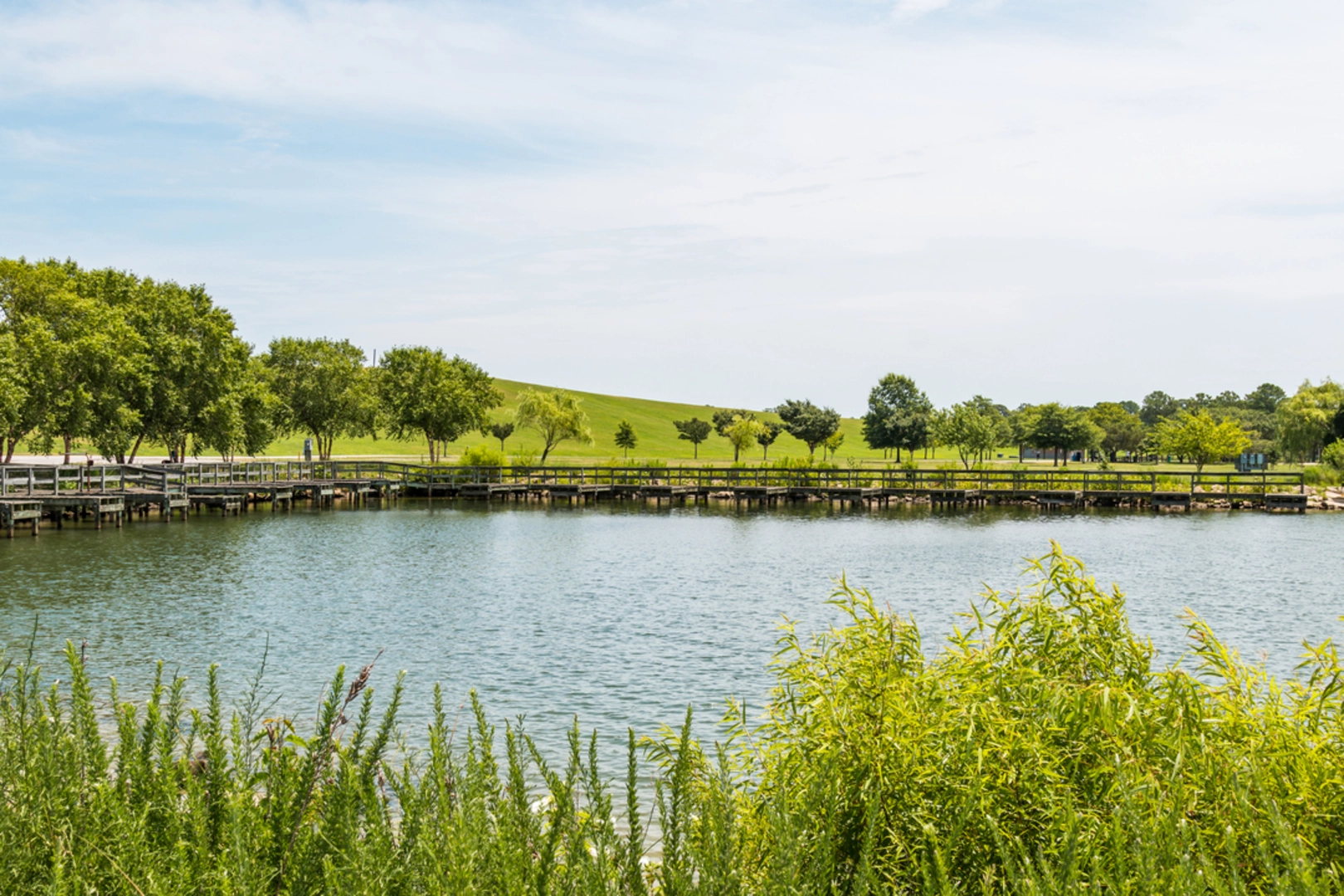 An image depicting the trail Mount Trashmore Loop and its surrounding area.