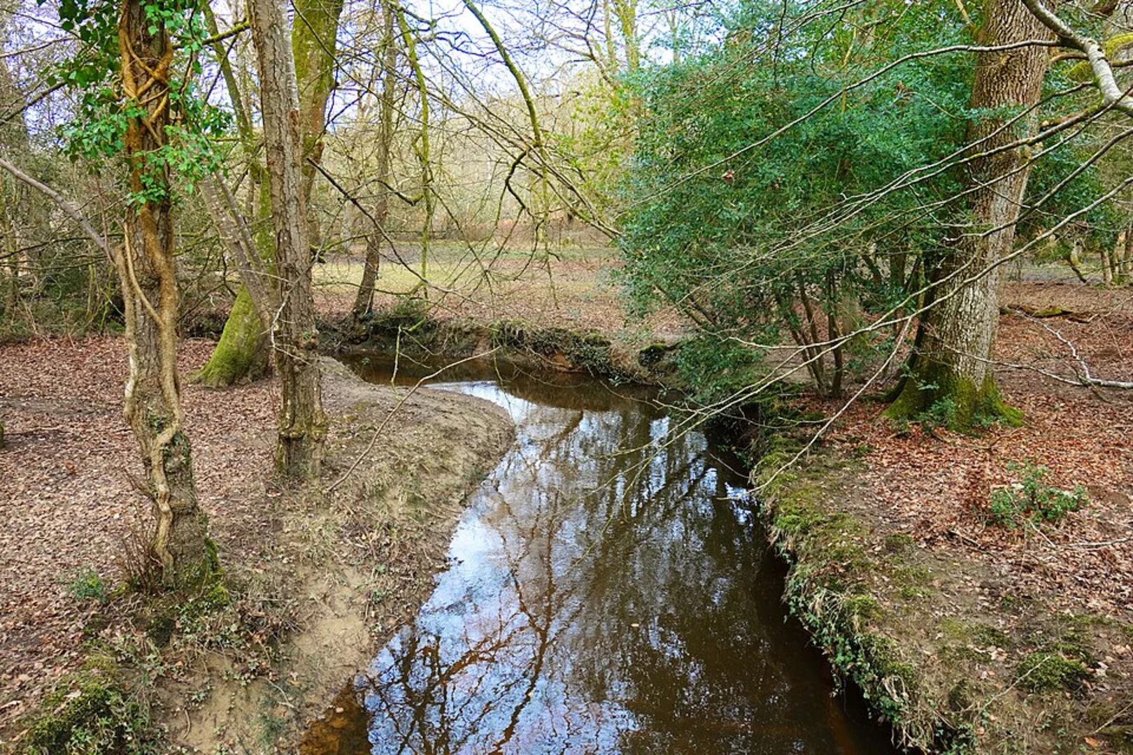 An image depicting the trail Bartley, Lyndhurst and Minstead Loop and its surrounding area.