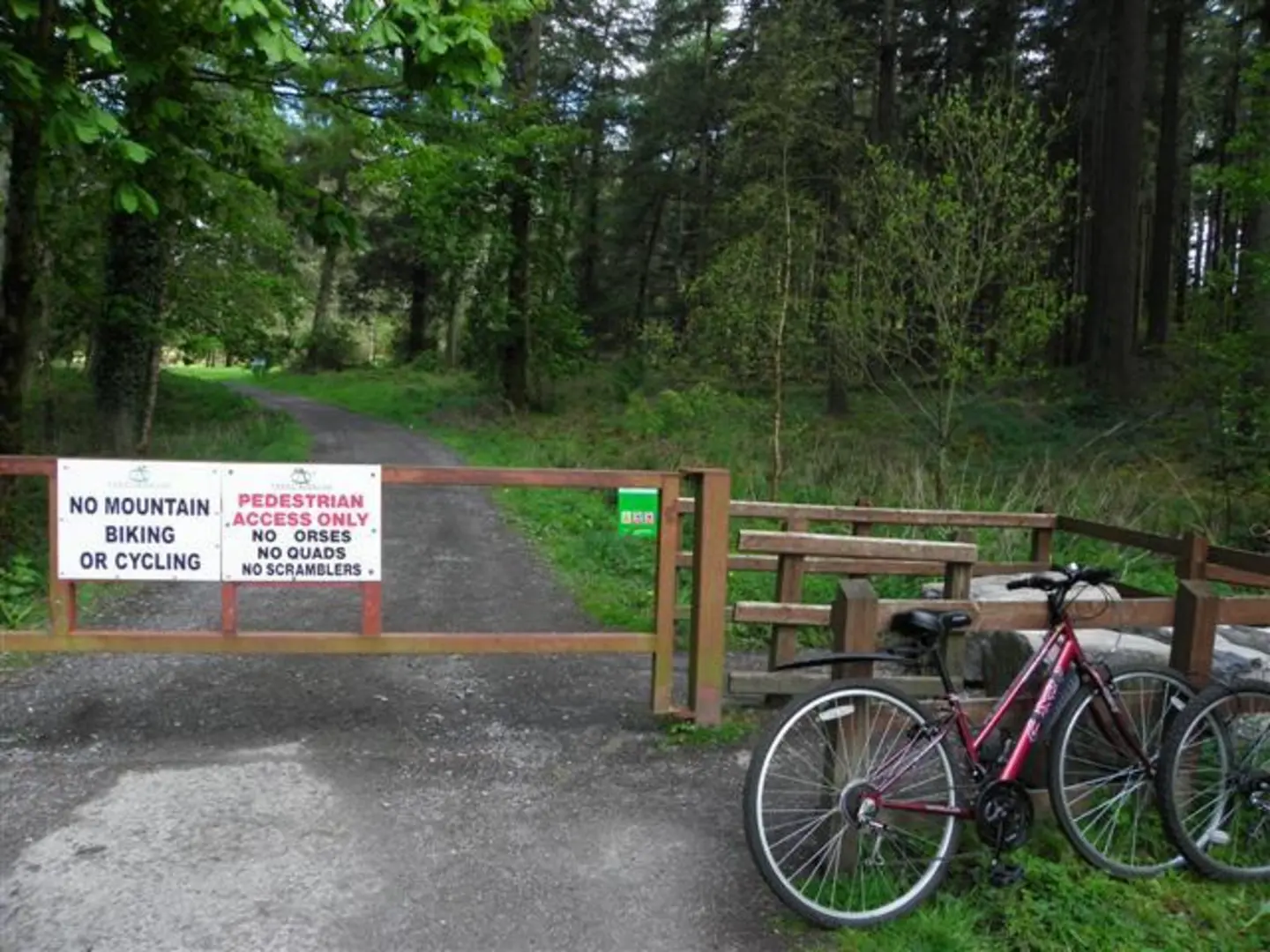 An image depicting the trail knockmany Forest - Anya's Tomb Trail and its surrounding area.