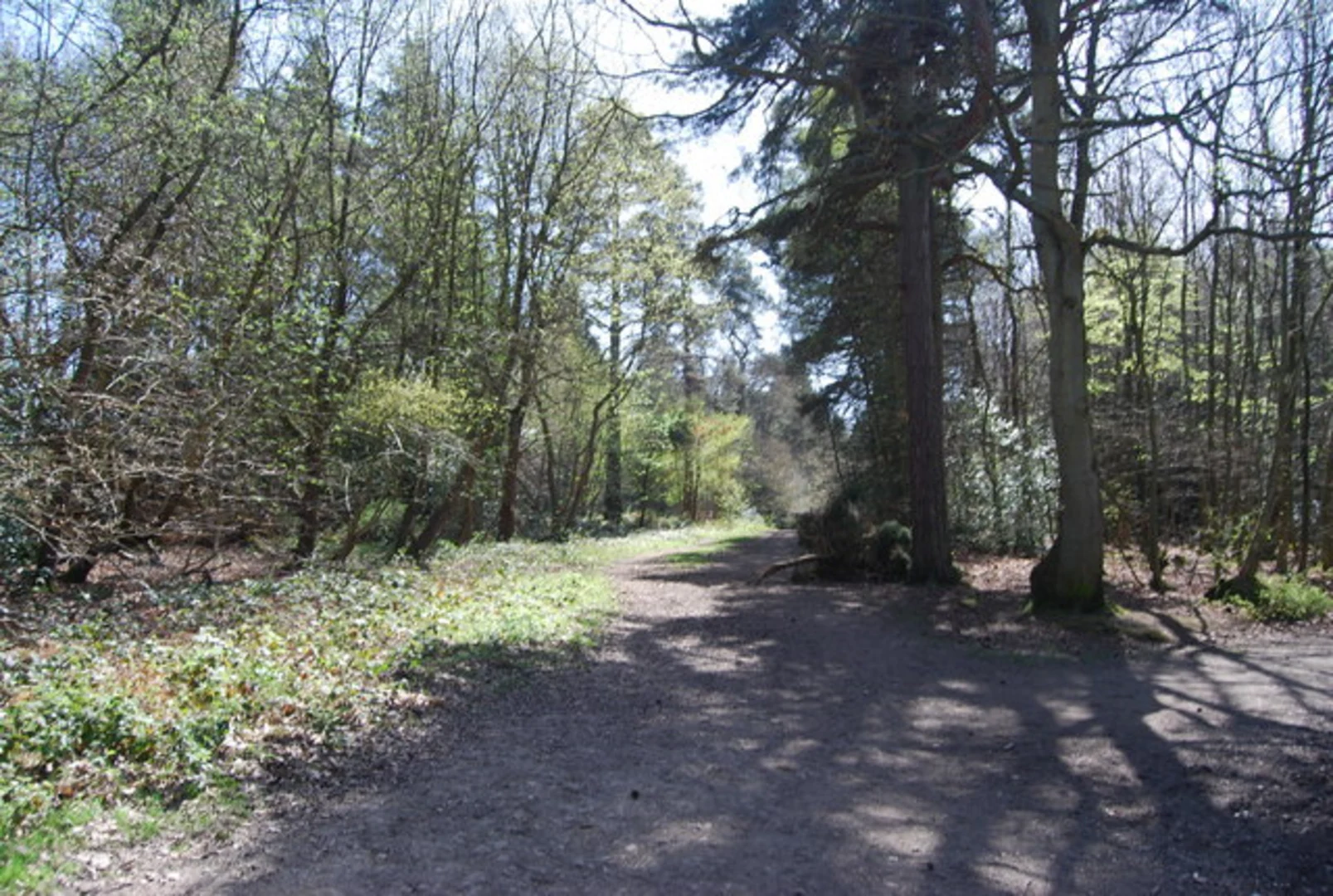 An image depicting the trail Limpsfield Chart Loop and its surrounding area.
