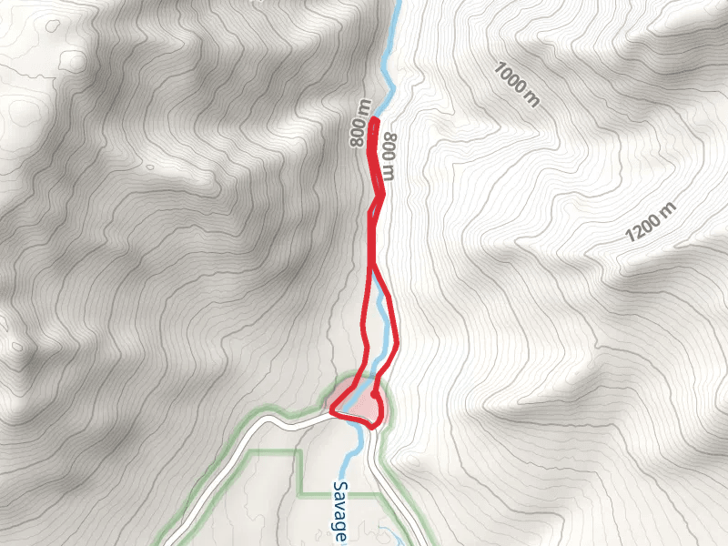 Savage River Loop Trail