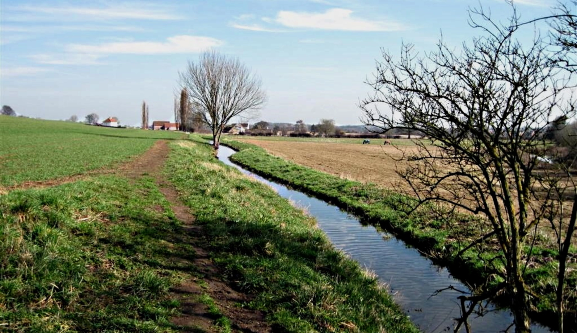 An image depicting the trail Old Meadow Wood, Low Spring Wood and Pudding Dyke Loop and its surrounding area.