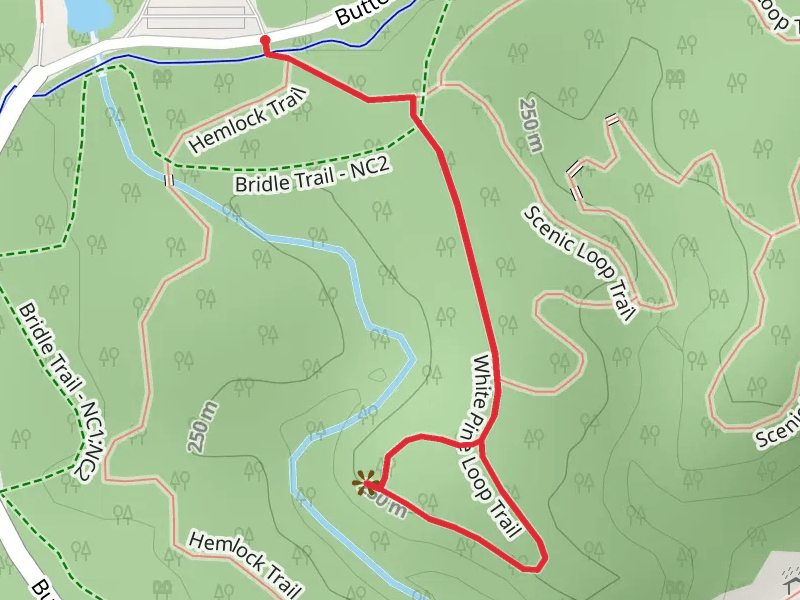 White Pine Loop Trail from Buttermilk Falls Parkway
