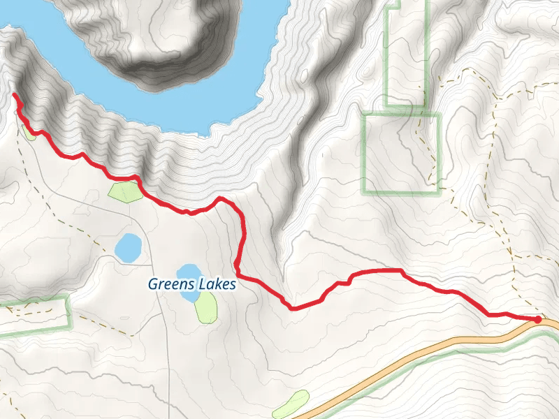 Canyon Rim Trail