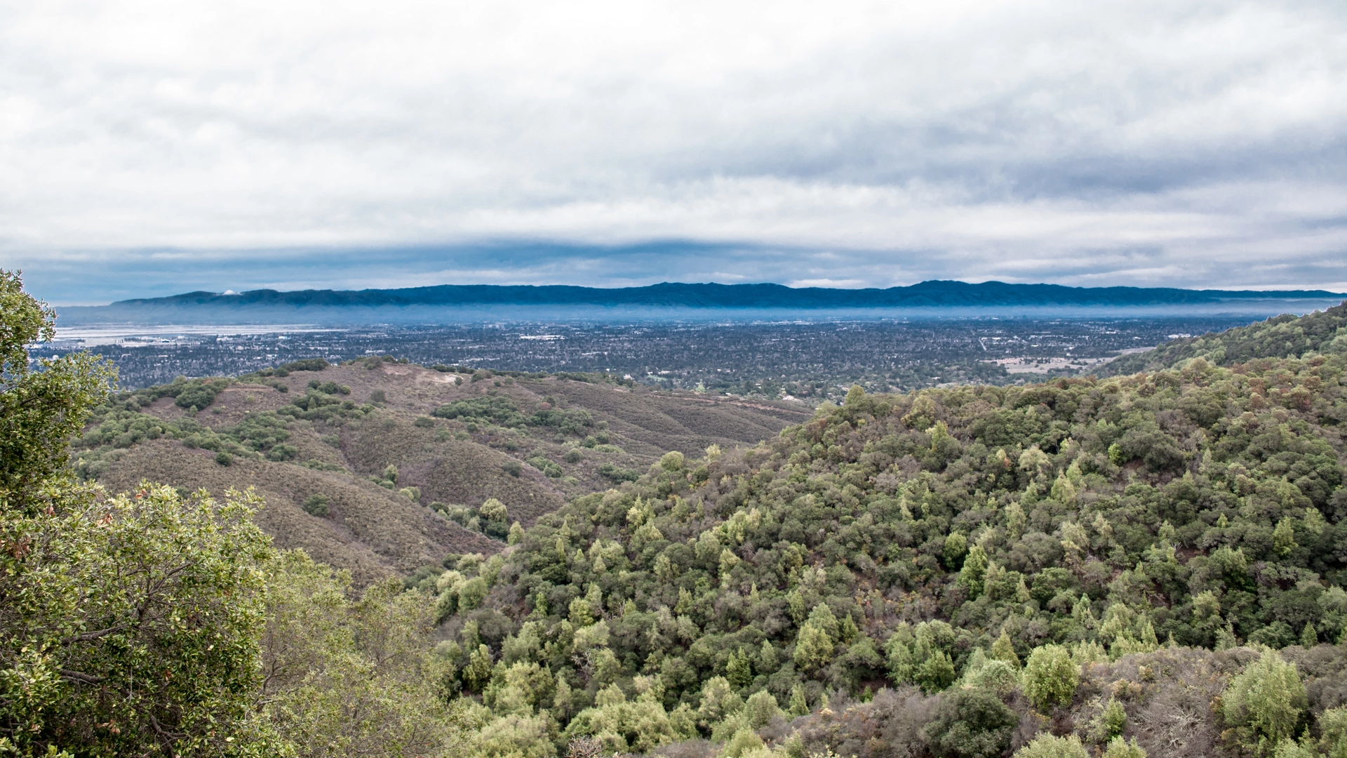 An image depicting the trail Black Mountain via Rhus Ridge Trail and its surrounding area.