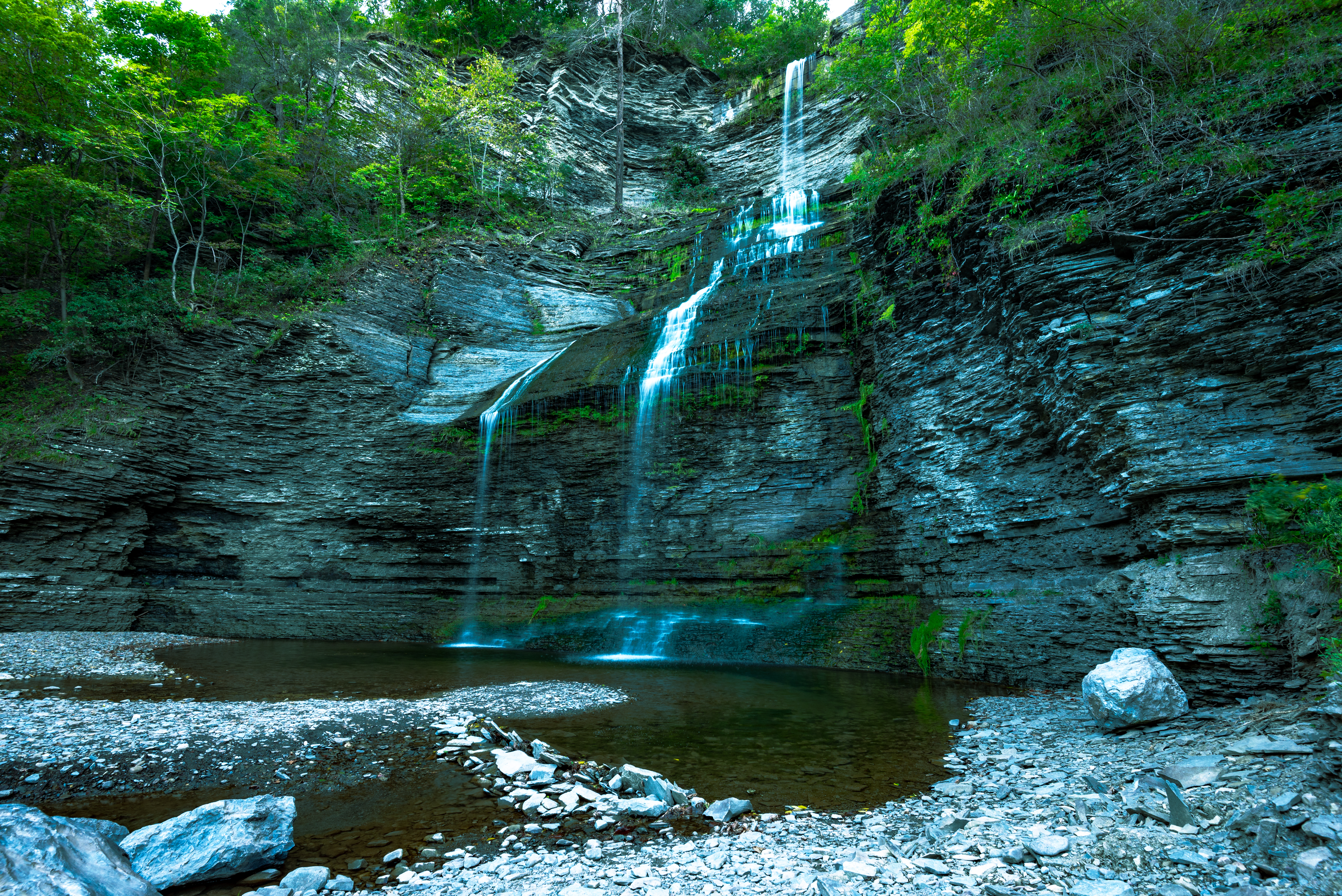 An image depicting the trail Green Mountain and Finger Lakes National Forests and its surrounding area.