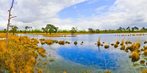 Sint Annabosch, Strijbeekse Heide, Het Zand and Alphensche Bergen Loop