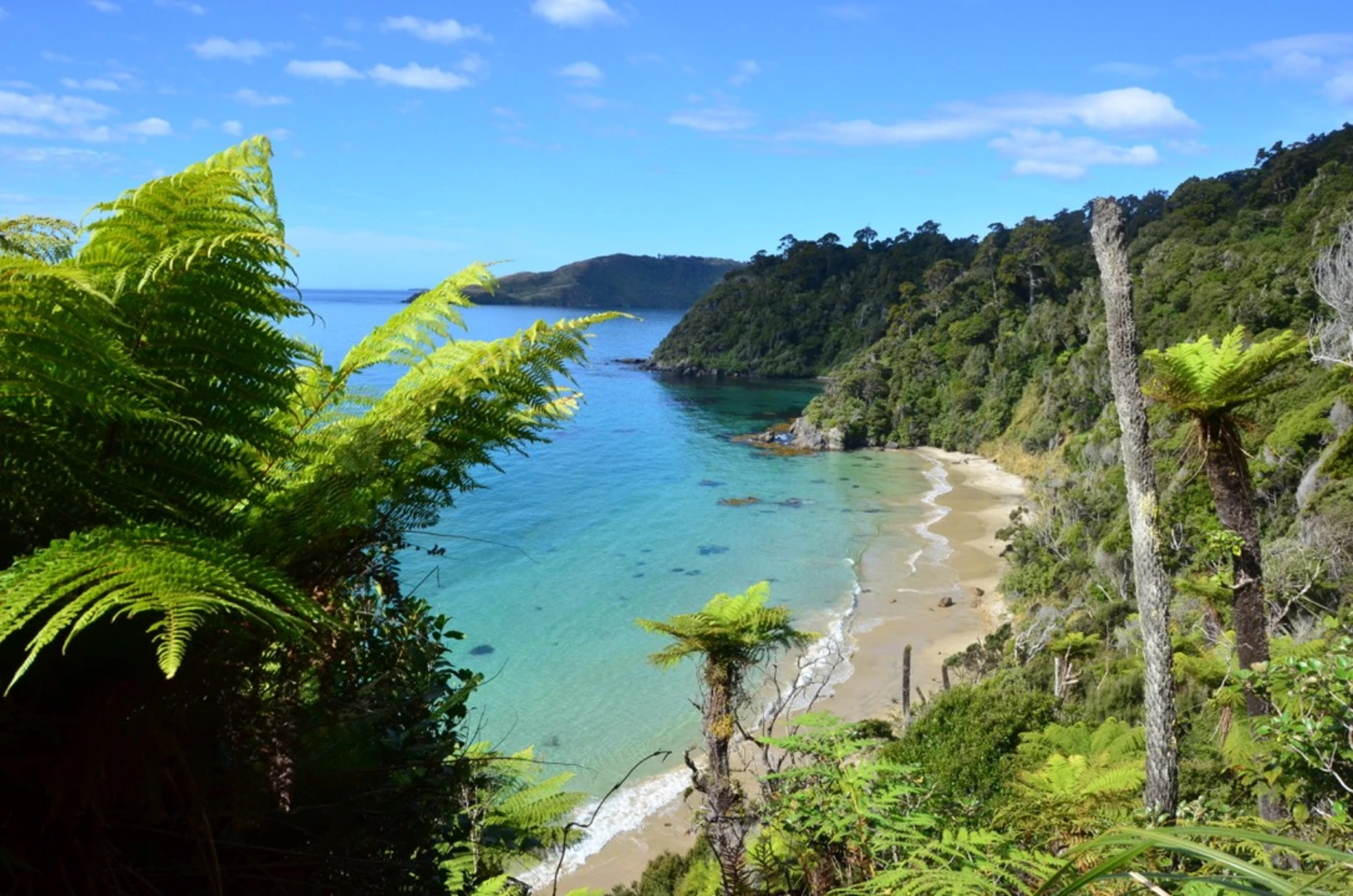 An image depicting the trail Rakiura Track and its surrounding area.