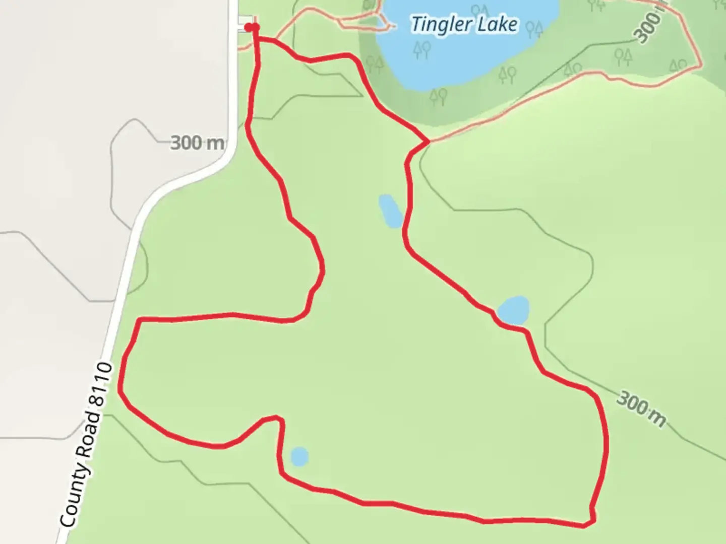An image depicting the trail Tingler Lake Overlook Loop and its surrounding area.