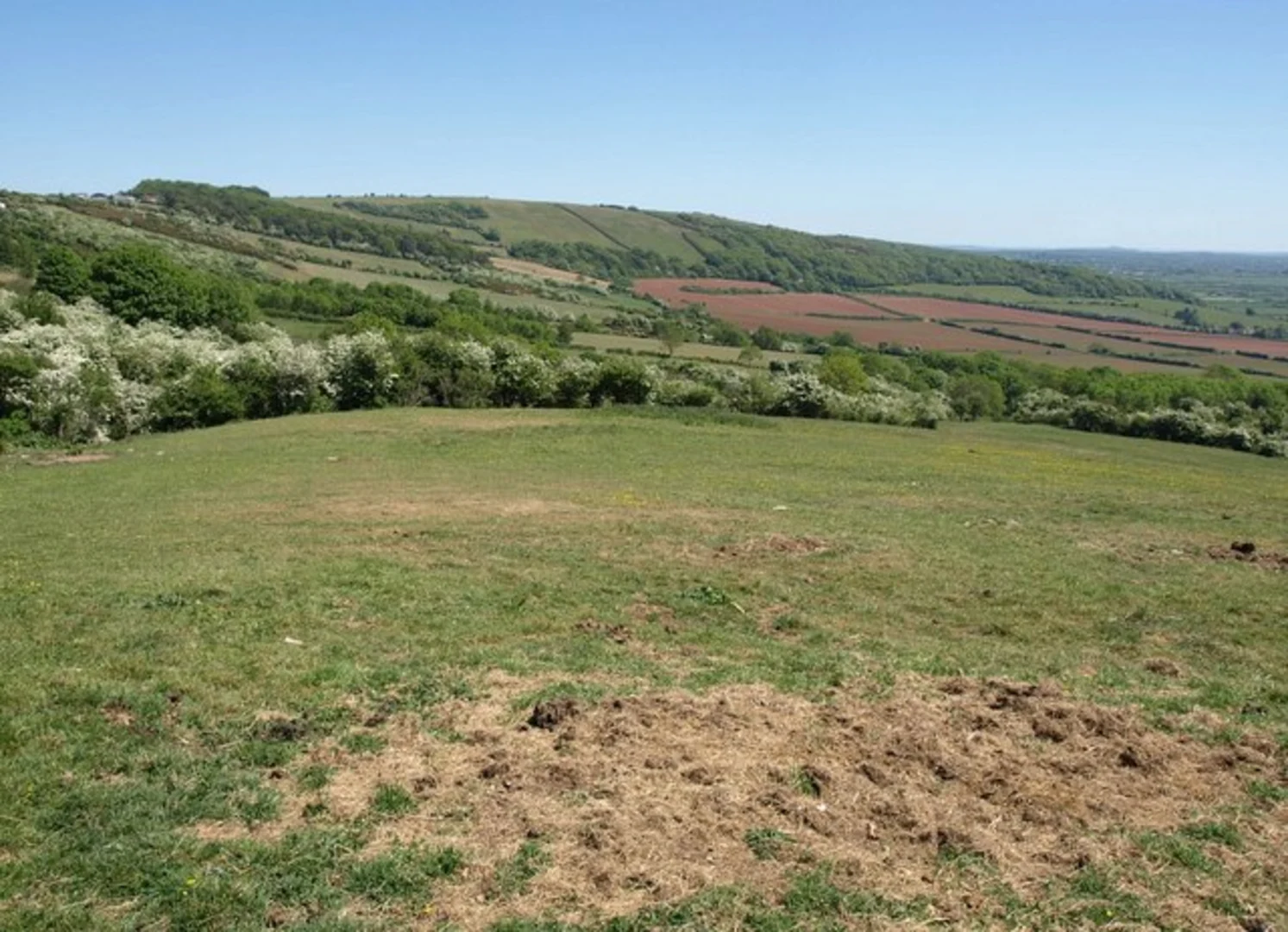 An image depicting the trail Hamwood Loop and its surrounding area.