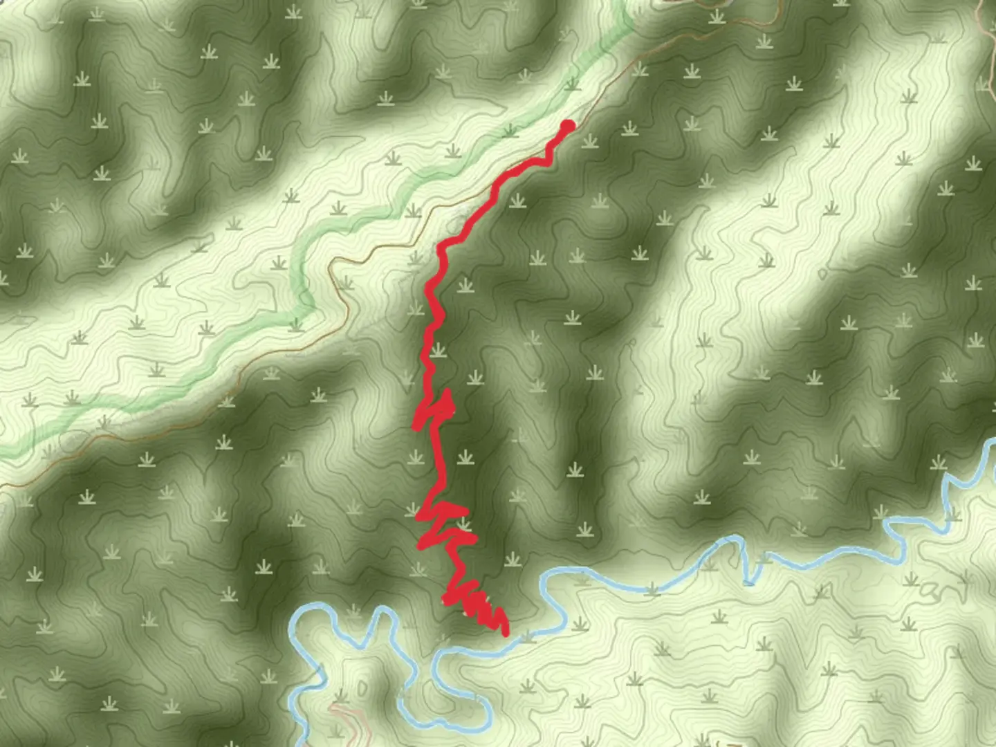 An image depicting the trail Dagger Flats Trail and its surrounding area.