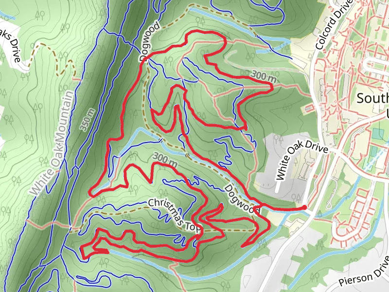 Dogwood, Coyote and Pine Loop