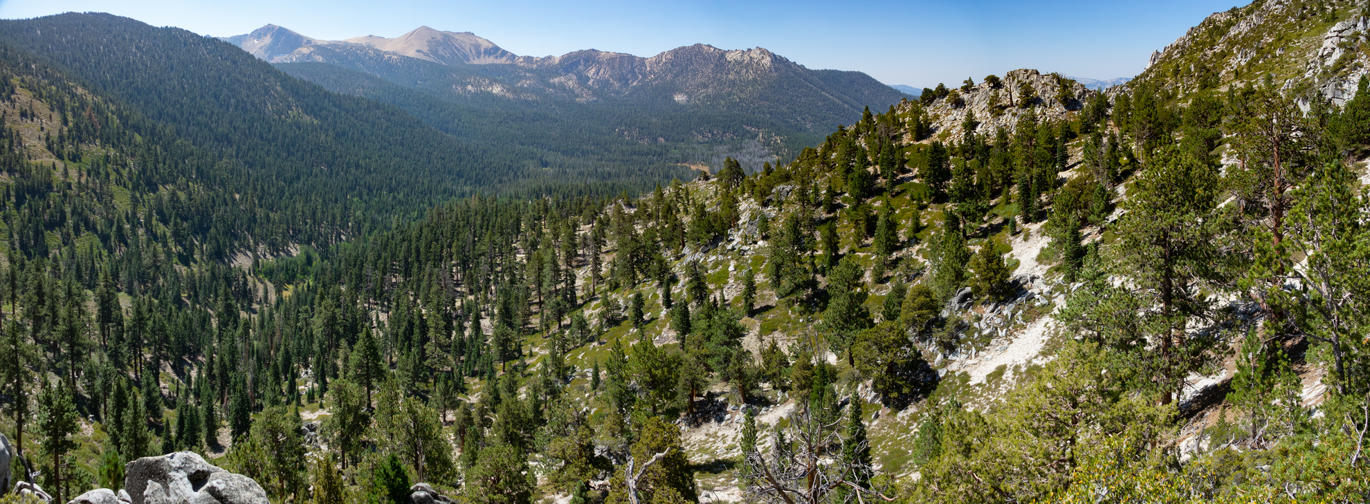An image depicting the trail High Meadows Road, Monument Pass and Cold Creek Loop Trail and its surrounding area.